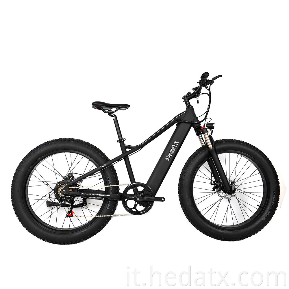 Foldable Electric Fat Tire Bike